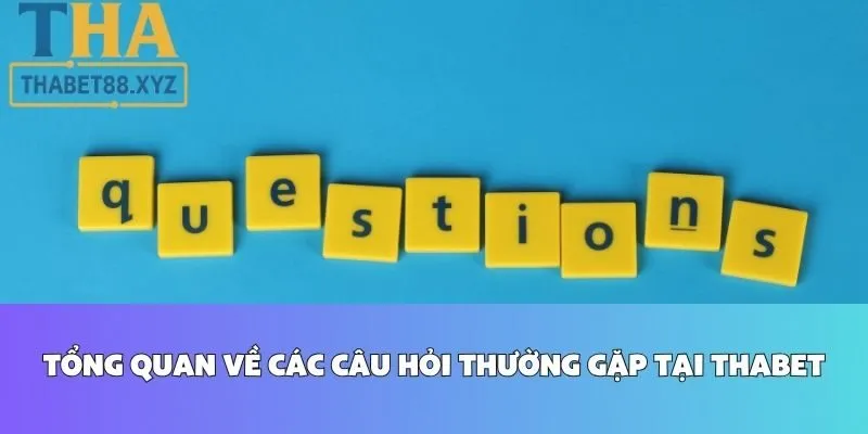 Tổng Quan Về Các Câu Hỏi Thường Gặp Tại Thabet