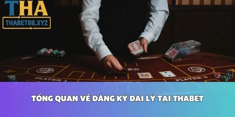 Tổng Quan Về Đăng Ký Đại Lý Tại Thabet