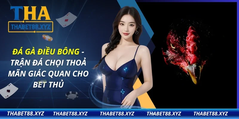 Đá Gà Điều Bông