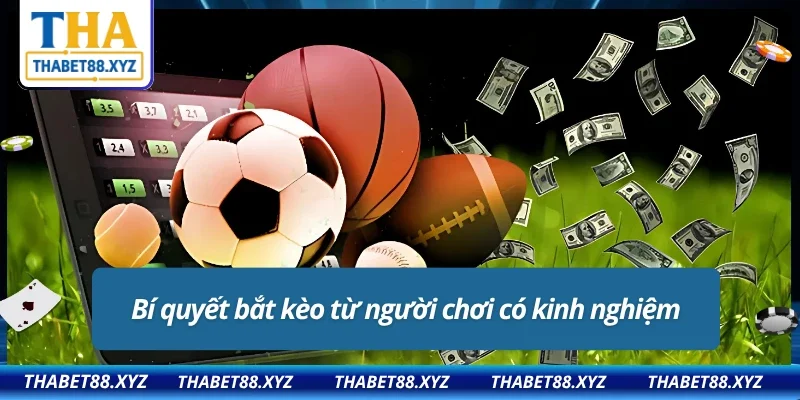 THABET cung cấp bảng tỷ lệ kèo minh bạch, cập nhật liên tục 