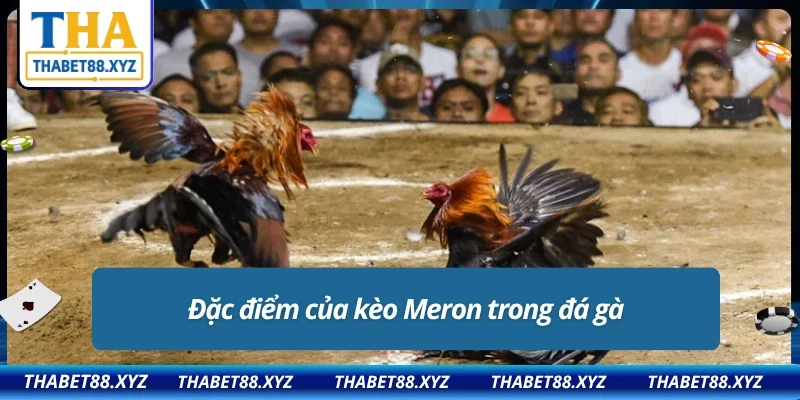 Kèo Meron có những đặc điểm như thế nào?