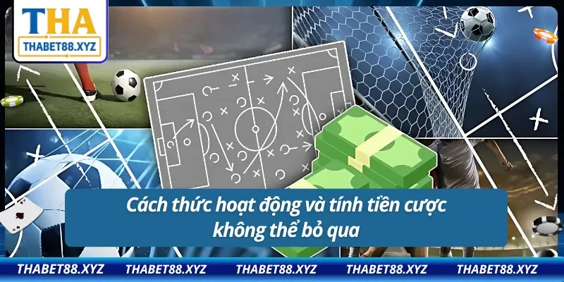 Cách thức hoạt động và tính tiền cược không thể bỏ qua trong kèo thắng/thua