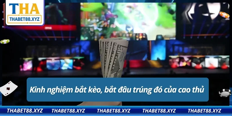Những bí kíp “ lão làng” THABET đọc ngay để không bắt kèo “mù” 