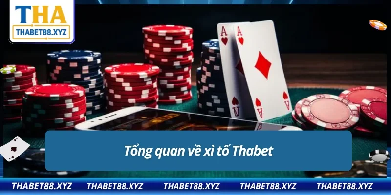 Thông tin nhanh về xì tố Thabet